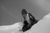 20090313_0195