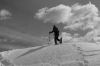20090313_0246