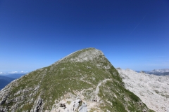 IMG_0726