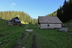 IMG_8452