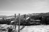 img_8785