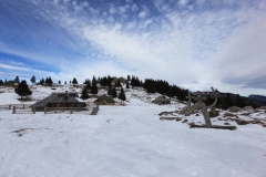 IMG_8650